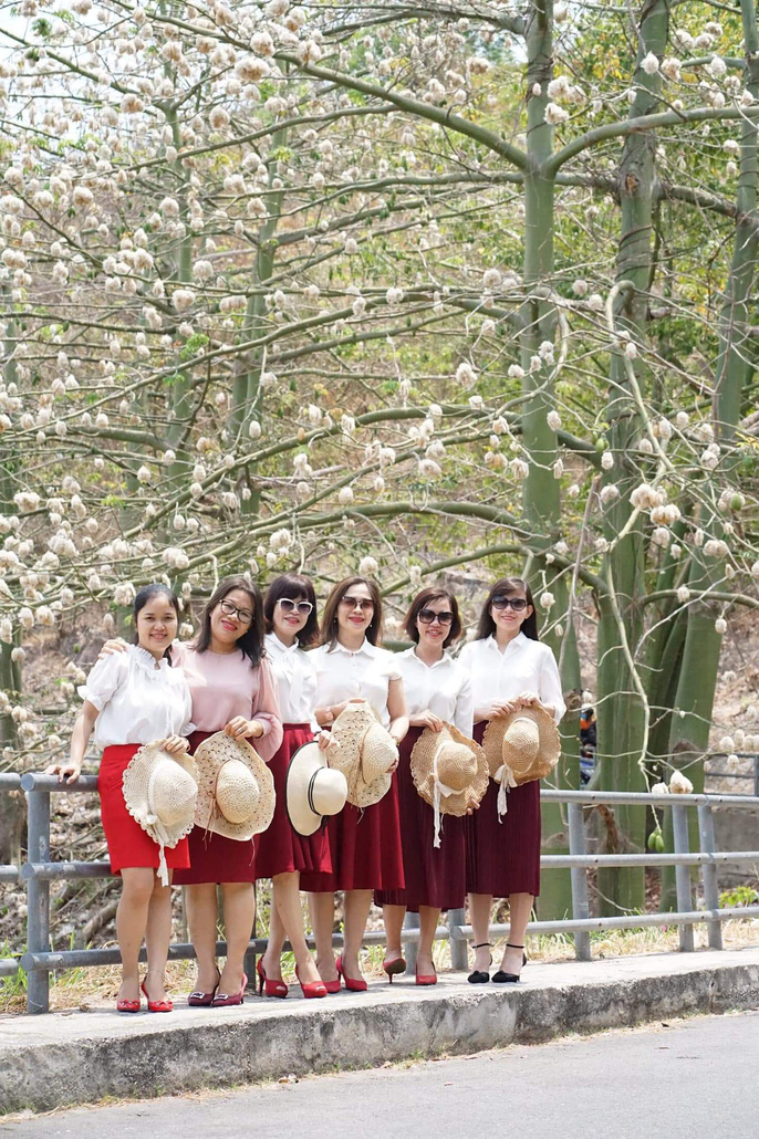 Phát[-]cuồng[-]với[-]những[-]cây[-]bông[-]gòn[-]"ma[-]mị"[-]ở[-]Vũng[-]Tàu